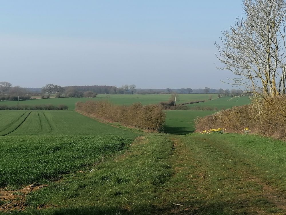 views near South Newbald